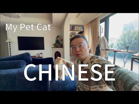 通过介绍宠物学习中文(可理解性的输入)