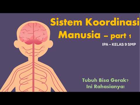 Sistem Koordinasi Pada Manusia part 1 (Sistem Saraf) - IPA kelas 9 SMP