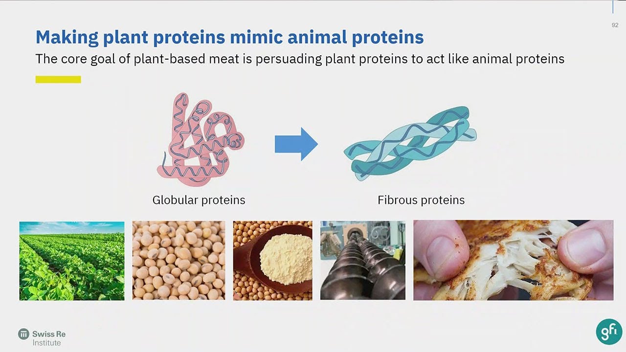 [Asia Sustainability Dialogue 2024] The Growth of Alternative Proteins in Asia