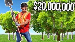 I Tried Planting 20,000,000 Trees (MrBeast &amp; Mark Rober)