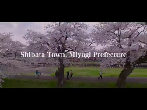 SHIBATA tte IINA　（Shibata Town's PR VIDEO Digest edition 3min）