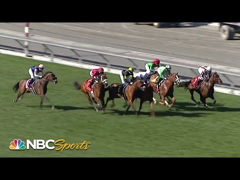 Megahertz Stakes 2023 (FULL RACE) | NBC Sports