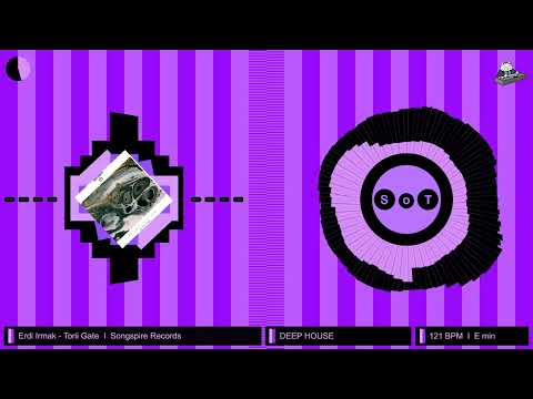 Erdi Irmak - Torii Gate (Original Mix) [PREMIERE] [Deep House] [Songspire Records]