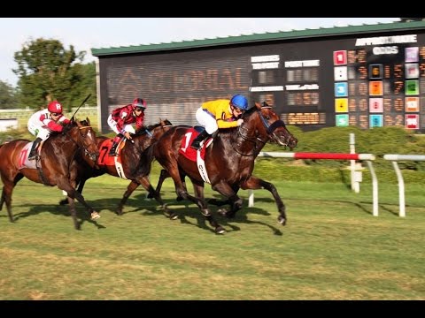 Pimlico Pick 5 Key race: April 11, 2015