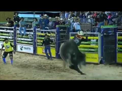 Estilingue é um dos grandes animais que marcou estória nos 10 anos da  Ekip Rozeta