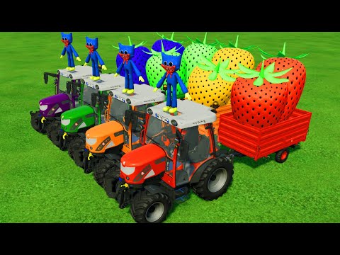 TRANSPORT GIANT COLORED STRAWBERRY WITH FIAT TRACTORS HUGGY KISSY - Farming Simulator 22