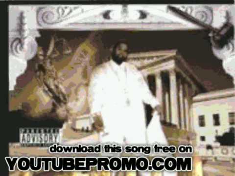 chill - Shake Dat Thang - Not Guilty