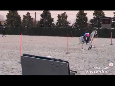 1 tappa trofeo 4 regioni 2019||U14