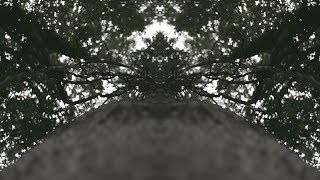 The Contortionist - Monochrome (Passive) Video