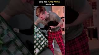Cats can help🐱❤️#cats #lovecats #catvideos #catlover #catshorts #CatShorts #cat
