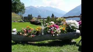 NAT KING COLE - Cachito Mio