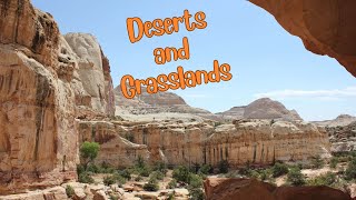 Life in the Barren Beauty Deserts and Grasslands