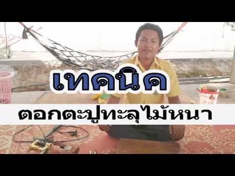 ที่จะซื้อเชื้อโรค Salavat เพิ่มอวัยวะเพศชายเพศ