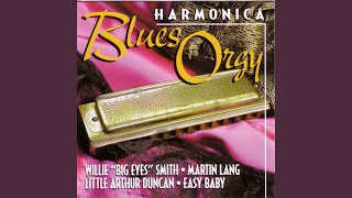 Hoodoo Man Blues / Junior Wells