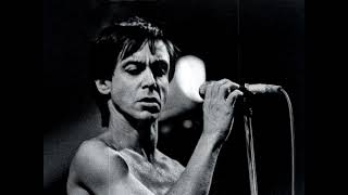 &quot;1970&quot;  Iggy Pop 1970