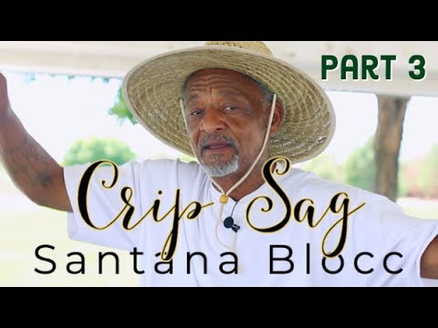 Sag on Kim Bullet Tate Founder of Santana Blocc Crips