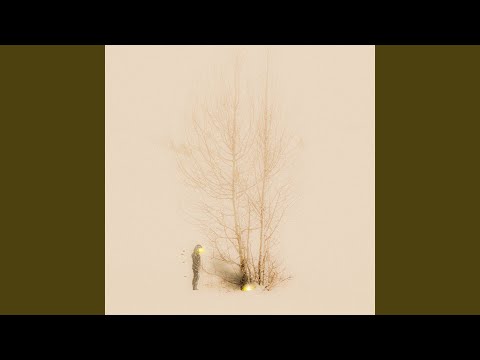 Dirt Around The Tree - Candi Carpenter