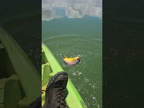 #pescaria pescando comigo aventura camping represa de #tres Marias MG!!