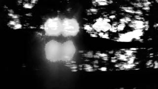 Slzy dvou - Petr Muk