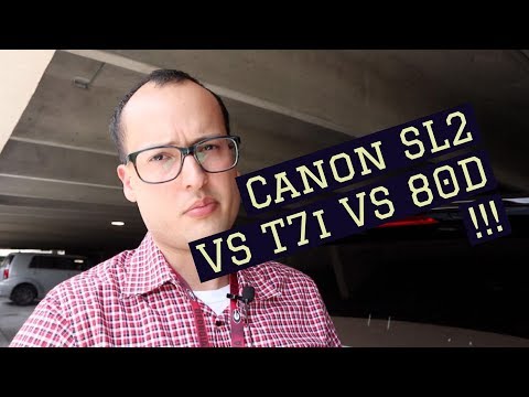 Canon SL2 VS T7i VS  80D Camera Discussion