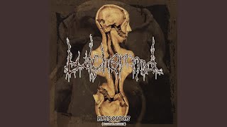 An Exquisite Harvest Straight from the Putrefying Cadaver Plantation