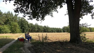 Wariacje na temat... ‒ letnie plenery malarskie