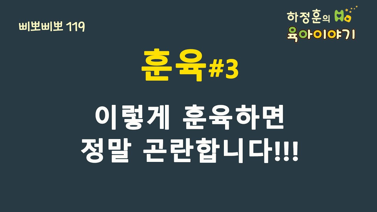 원본 보기