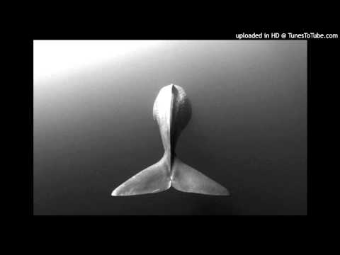 Phunk Investigation – Dont Laugh (Original Mix)