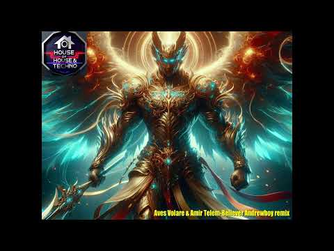 Aves Volare & Amir Telem-Believer Andrewboy remix (Timeless Moment)