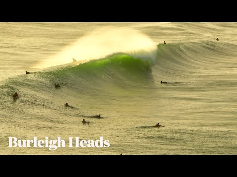 Avo on Toast - Burleigh Heads - Friday 15 March 2024