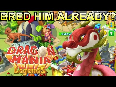 LANTERN DRAGON BREEDING + POSH DRAGON VIP EVENT! - Dragon Mania Legends #353