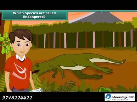 Happyclass - Conservation of Plants and Animals, Science, CLASS 8 - NCERT CBSE Happyclass - Conservation of Plants and Animals, Science, CLASS 8 - NCERT CBSE