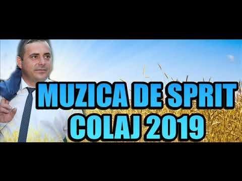 Download Muzica De Petrecere 2019 Muzica De Sprit Cu Sorinel De La