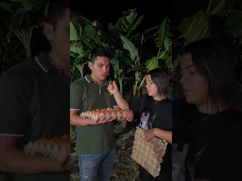 Proyecto de producción de huevo criollo en Orito Putumayo