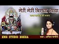 Anil Nagori गेहरी गेहरी बिरखा भाया पाछा किया �
