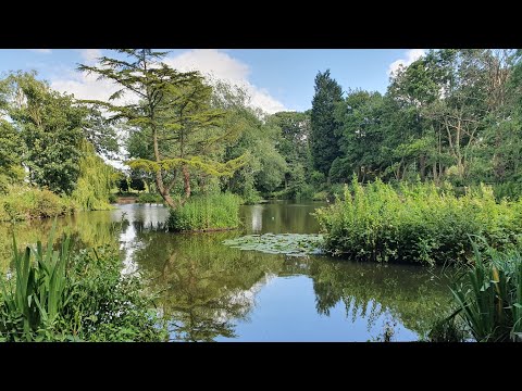 TENCH FISHING ON THE POLE - GRIMSDITCH MILL LYMM AC