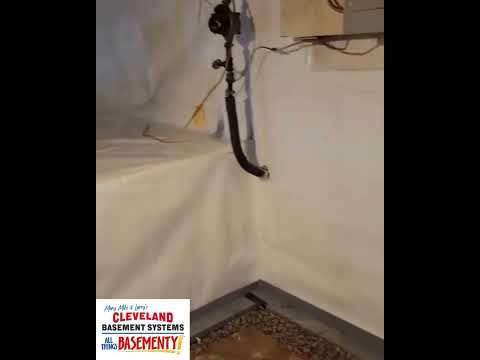 Moldy Basement Waterproofed in North Royalton, OH