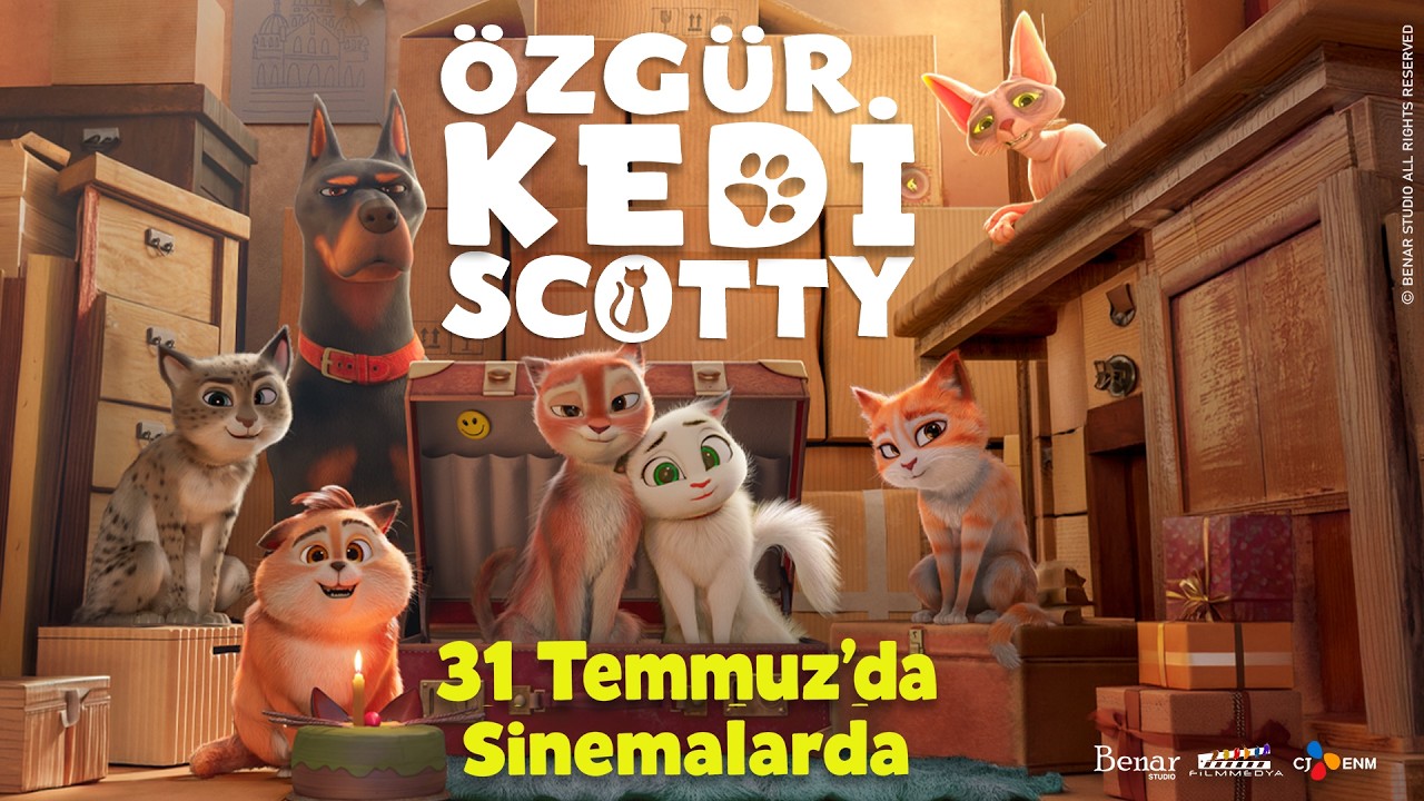 Özgür Kedi Scotty fragmanı izle