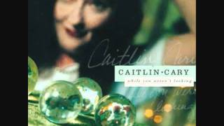 fireworks - caitlin cary