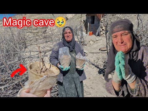 A Beautiful View of the Magical Grandmother’s Cave Entrance: Where Dreams Come True