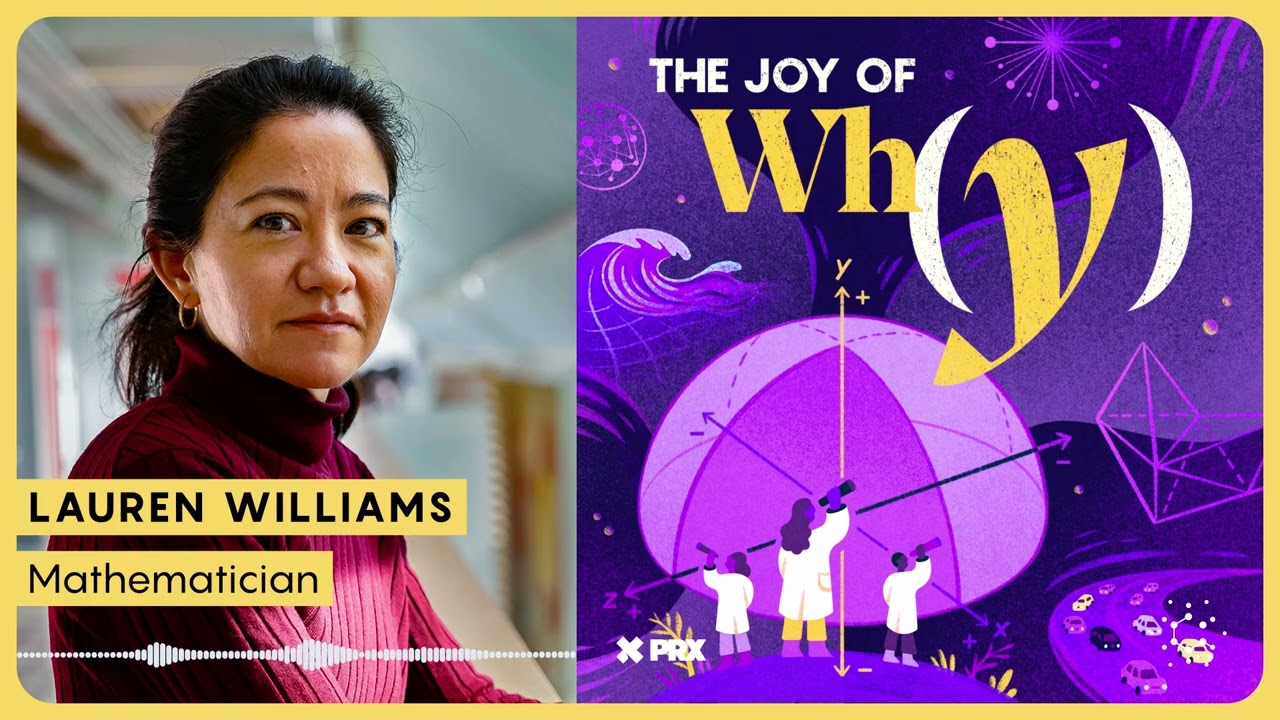 Why Does the Positive Grassmannian Show Up Everywhere?  | PODCAST: The Joy of Why