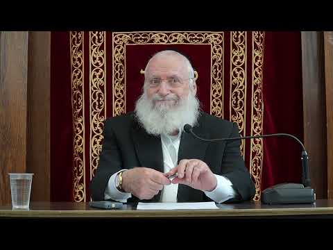 Sefiras HaOmer before Shekiah | Weekly Shiur by Rav Asher Weiss Shlit"a (5786)