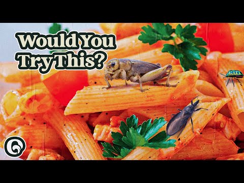 These Everyday Foods Are Full o' Bugs
