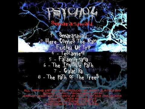 02 Psychoz - Here comes the Rain