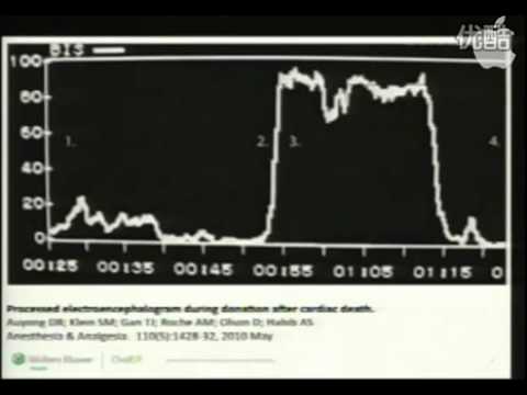 Hameroff NDE talk.flv