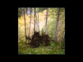 Benoît Pioulard - XI