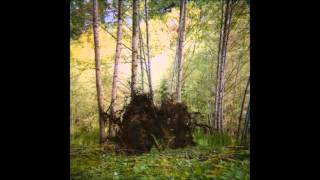 Benoît Pioulard - XI