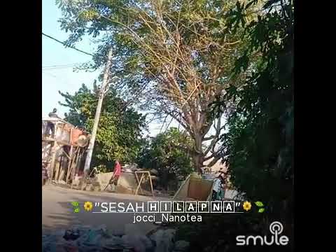 Sesah Hilapna Covers GINA Mojang Kang Nano tea