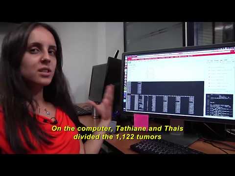 13 - Brain Cancer: DNA Methylation and survival of patients