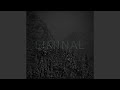 Boy 1904 (Liminal Remix)